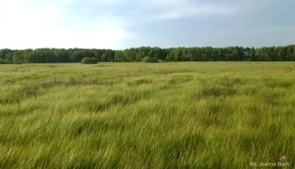 Ogłoszenia o dzierżawach nieruchomości
Zapraszamy do wzięcia udziału w ogłoszonych w dniu 27 luteg…