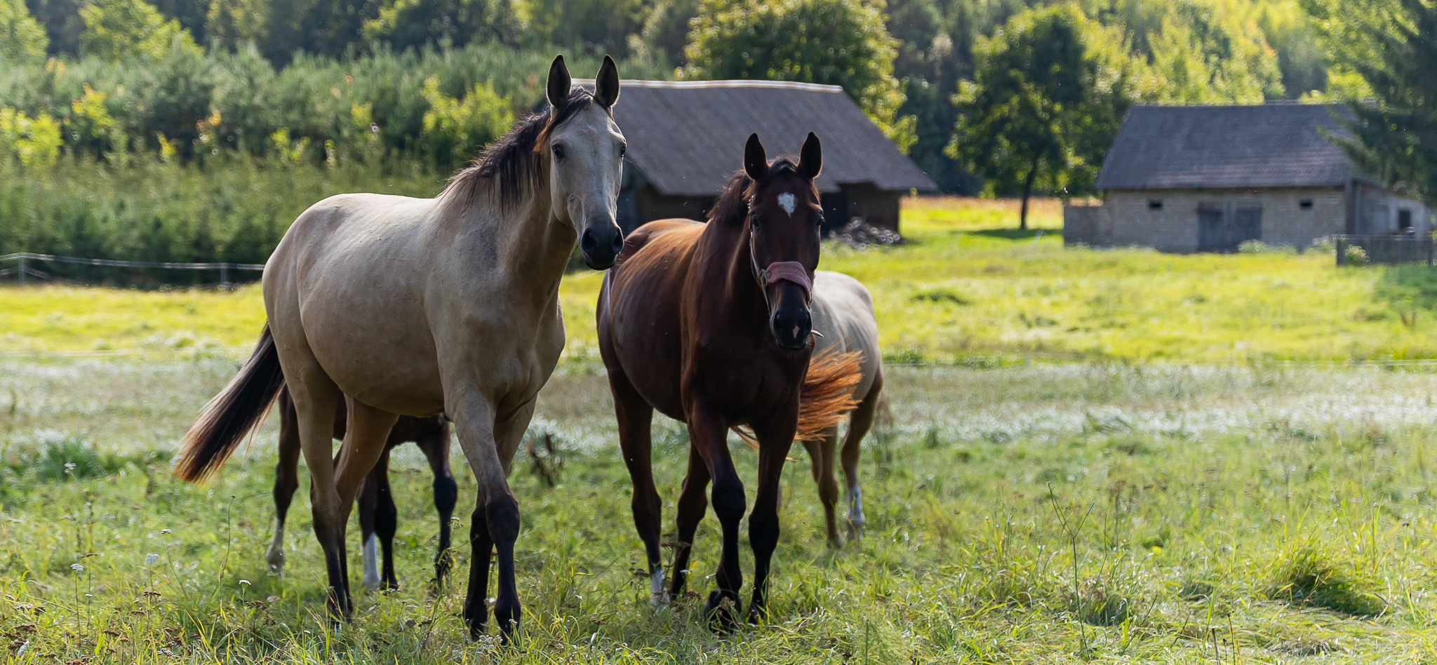 Konkurs plastyczny – Odnowa wsi województwa podlaskiego – Kreatywna wieś
Zarząd Województw…