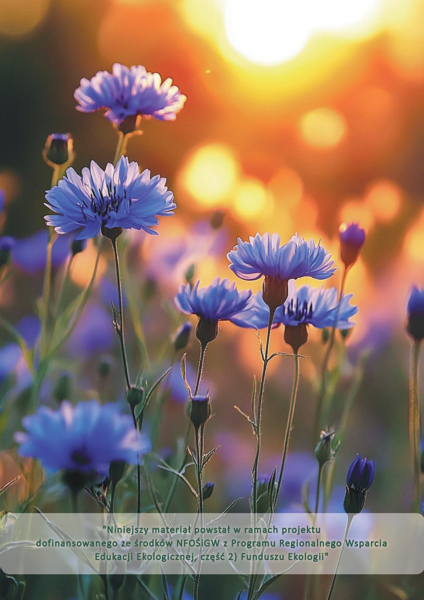 Informacja dotycząca projektu „Zdrowo to czasem znaczy kolorowo – wpływ kwiatów na życie człowieka”…