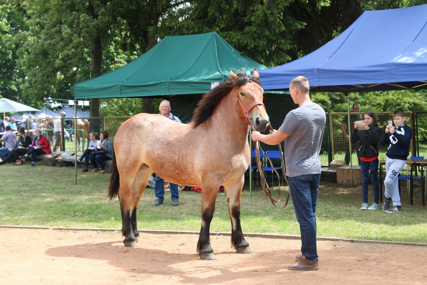 
        

        


Image 00003




    
        

        


Image 00004…