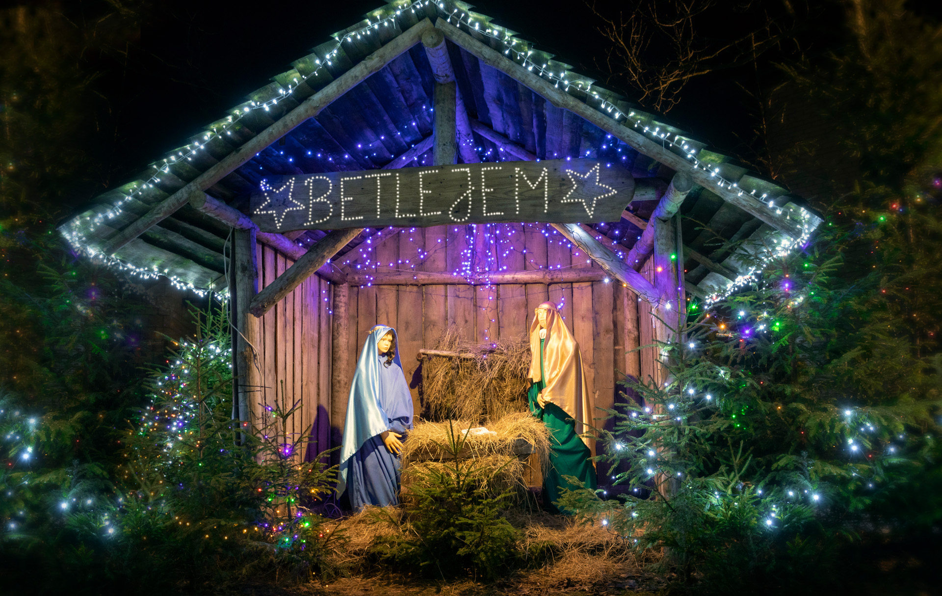 Kolędujmy razem

        

        


O 2 A 6321




    
        

        


O…