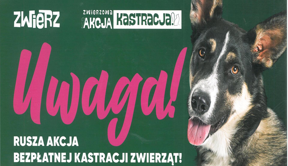 Informacja o kastracji psów oraz kotów na terenie Gminy Sztabin w 2024 roku

Gmina Sztabin wraz...